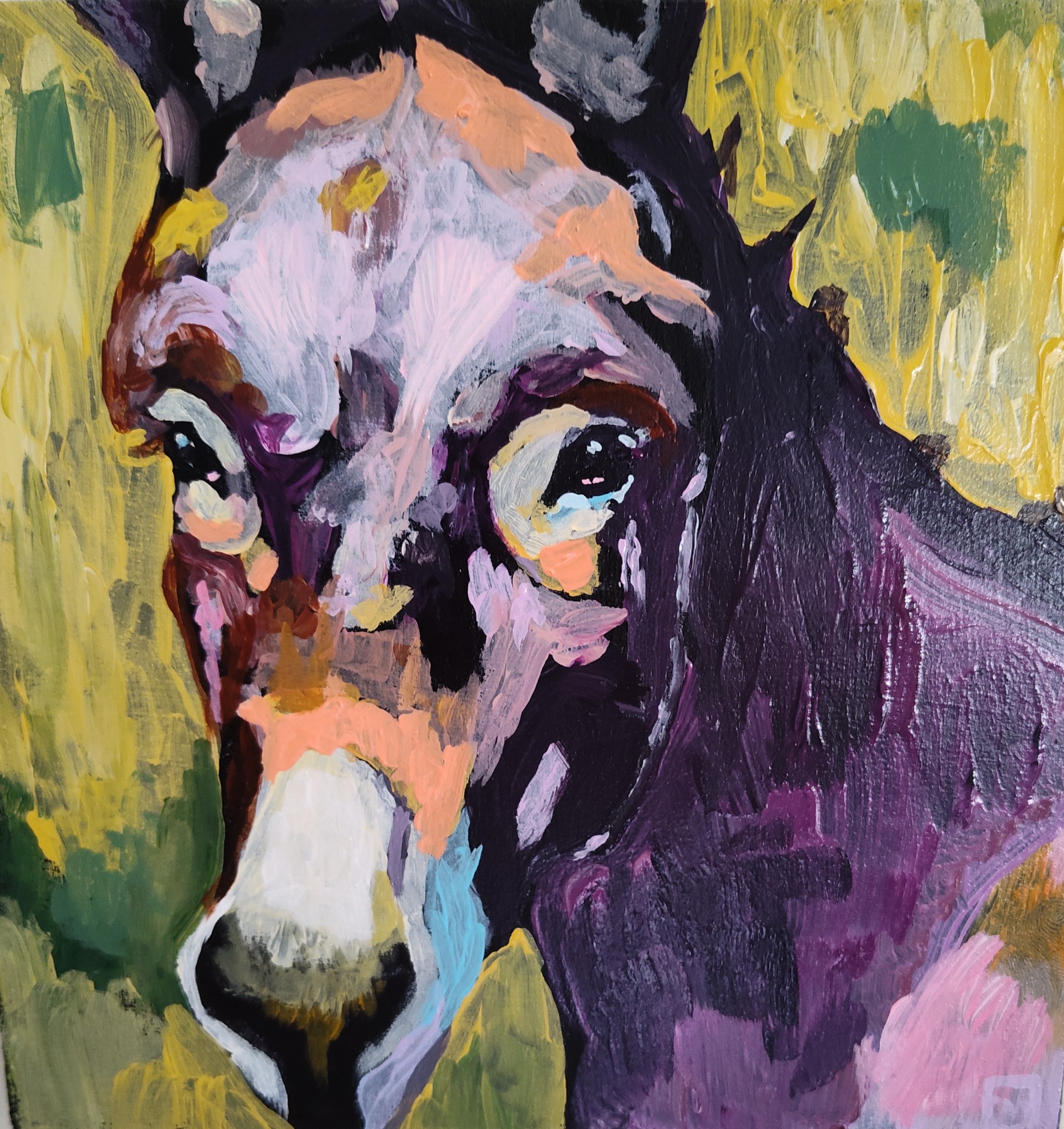 A colorful close up of a donkey's face