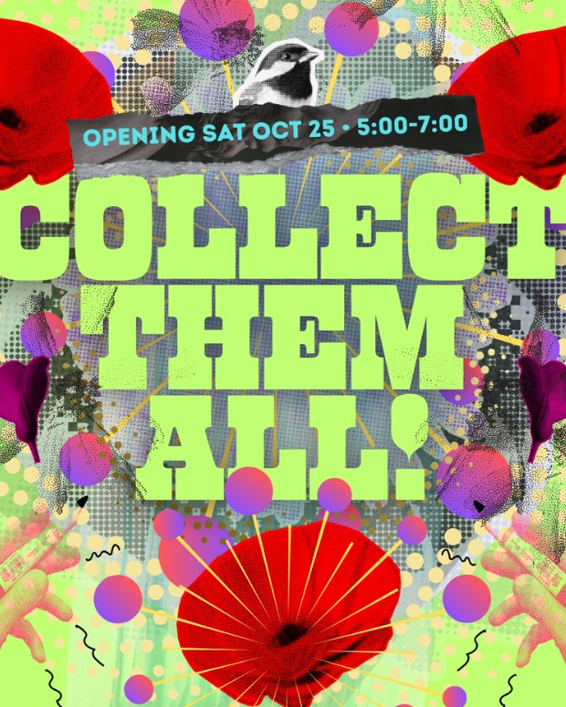 Collect them all web banner with colorful green text and bright poppies in the background