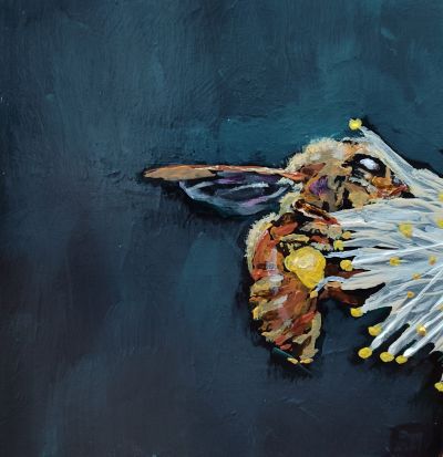 acrylic painting of honey bee landed on a linden tree flower